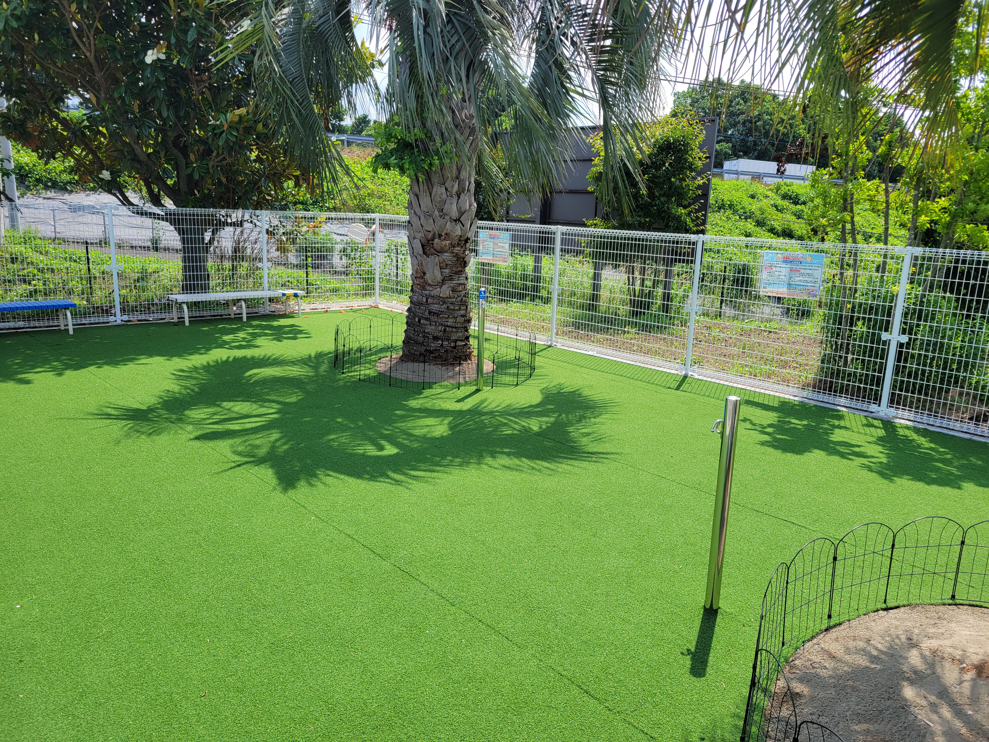 ヨコオ こんにゃくパーク ドッグラン